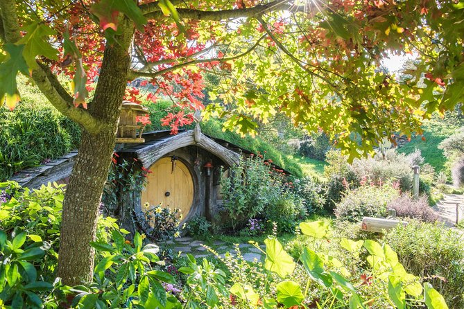 Hobbiton Movie Set Group Tour Early Access (Avoid the Crowds!) - Traveler Experience