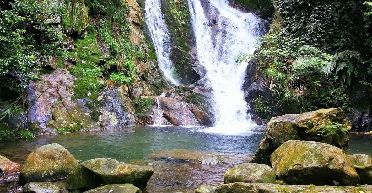 Hong Kong: Tai Mo Shan Waterfall Hike - Important Information