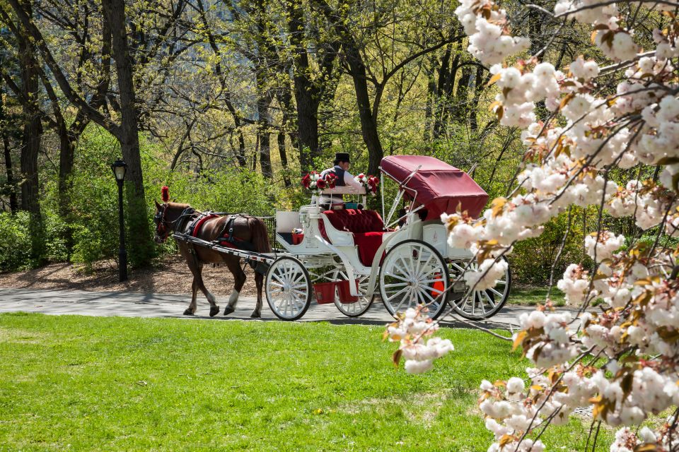 Horse and Carriage Rides Central Park - Reservation Flexibility