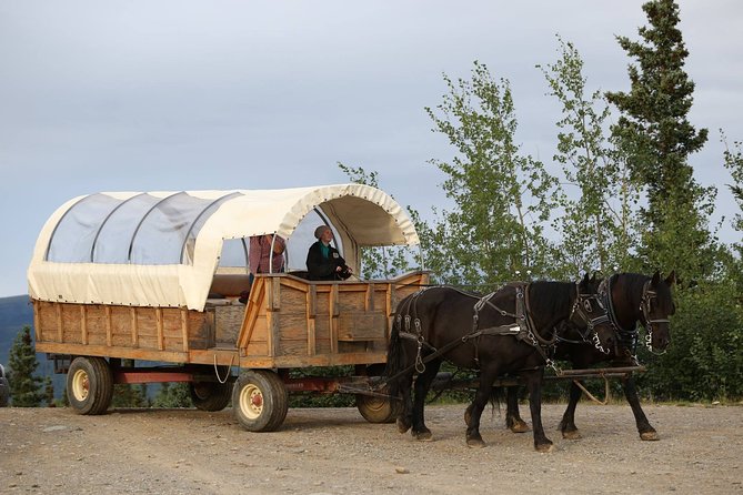 Horse-Drawn Covered Wagon Ride With Backcountry Dining - Explore Denali National Park Beauty