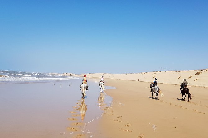 Horse Ride on the Beach in Essaouira - Expectations and Requirements