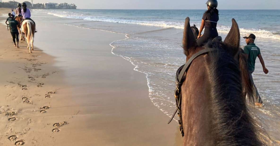 Horse Riding in Mount Lavinia - Location Information