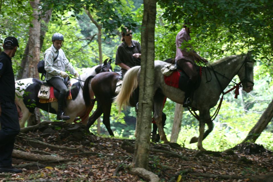 Horse Riding in Nuwara Eliya - Location Insights