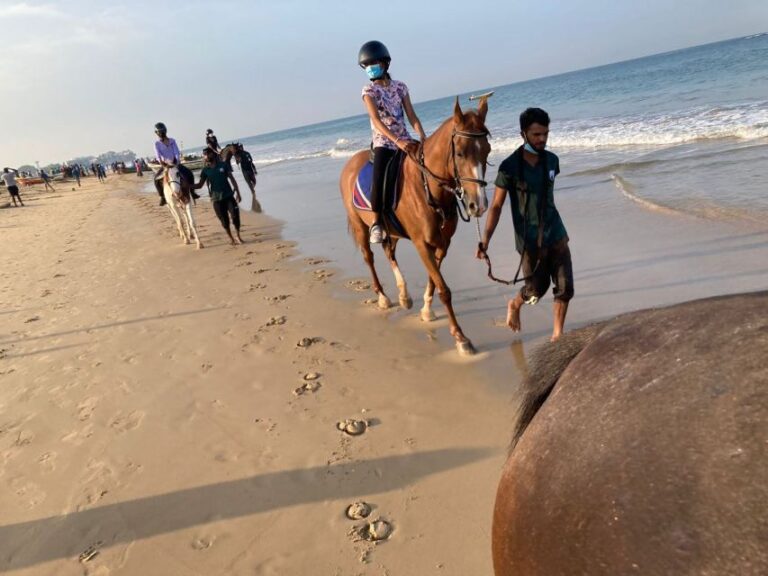 Horse Riding in Port City