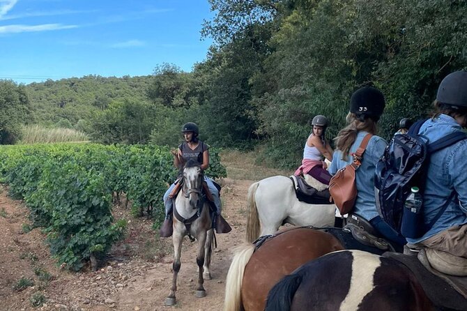 Horse Riding in the Vineyards of Grimaud Wine Tasting - Reviews