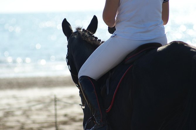 Horse Riding on the Beach, Rhodes - Cancellation Policy