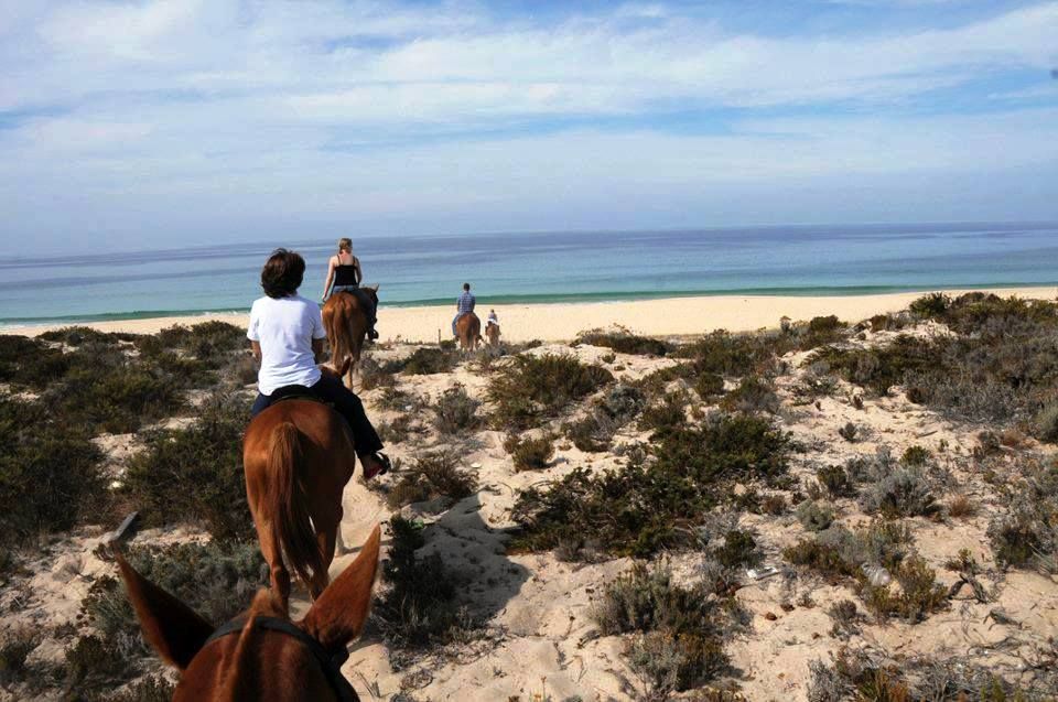 Horse Riding on the Beach With Private Transfer From Lisbon - Transportation Information