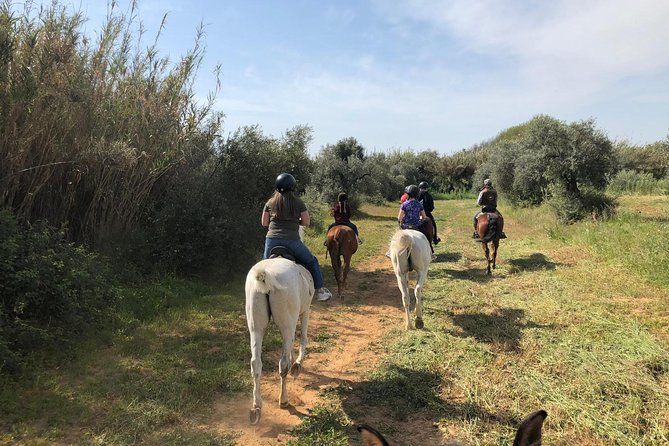 Horse-Riding Tour From Seville (Mar ) - Safety Measures