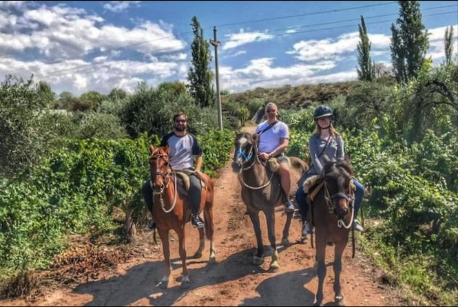 Horseback Ride Through Vineyards Followed by Gourmet Lunch - Last Words
