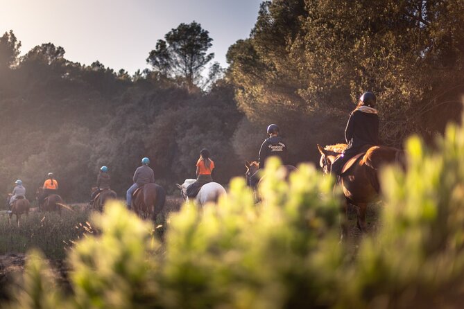 Horseback Riding in Cala Mitjana, Menorca, Spain - Participant Requirements