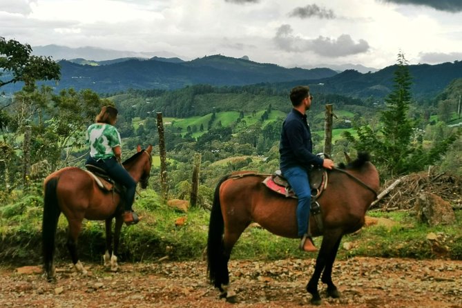 Horseback Riding in Medellin: Private Tour - Cancellation Guidelines
