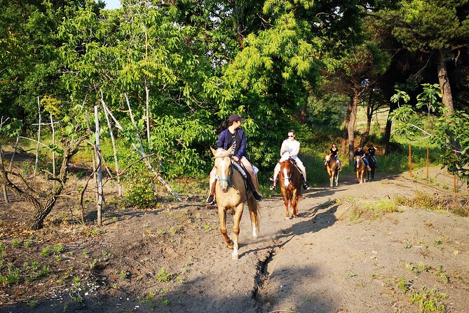 Horseback Riding on Vesuvius - Guided Horseback Ride With Local Expert