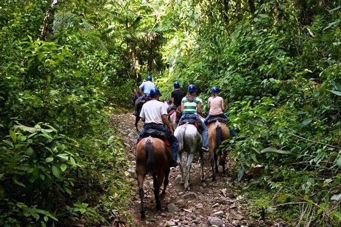 Horseback Riding to Conchal Beach - Customer Reviews and Guide Appreciation