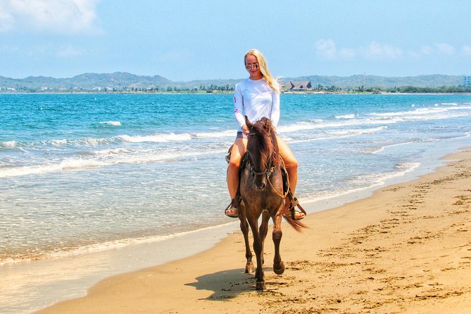 Horseback Riding Tour in Beach of Cartagena - Overall Satisfaction