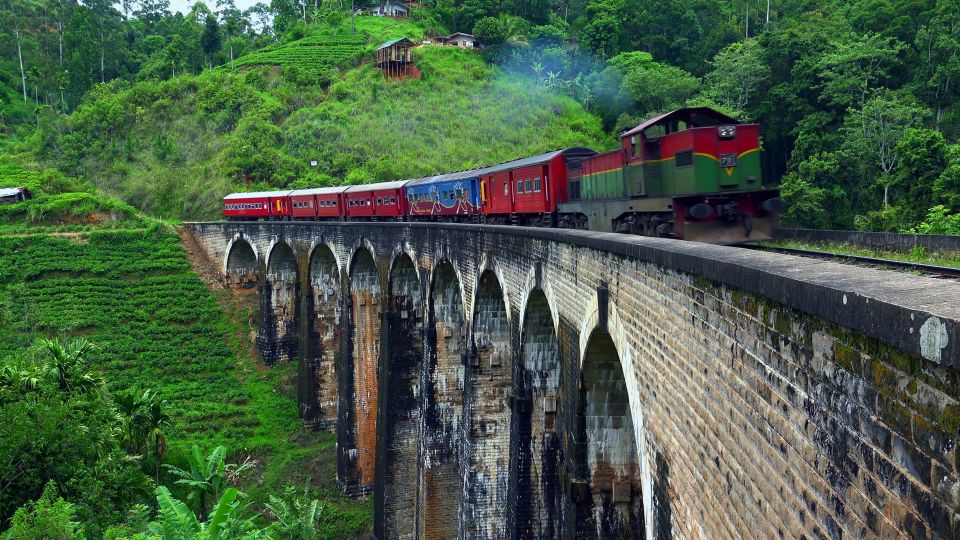 Horton Plains National Park Tour & Scenic Train Ride - Guided Wildlife Scouting Walk