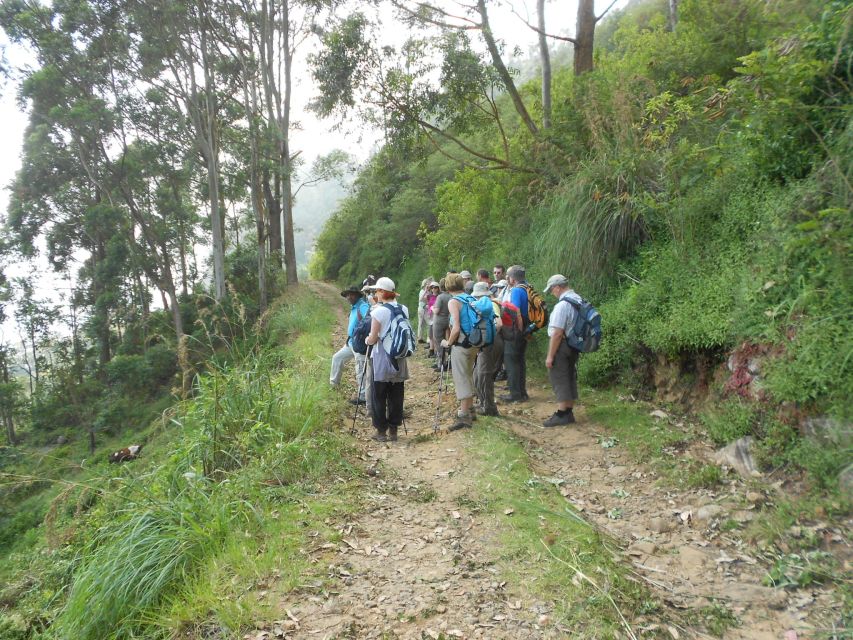 Horton Plains: Pekoe Trail Stage 11 Hiking Trip to Udaweriya - Additional Information