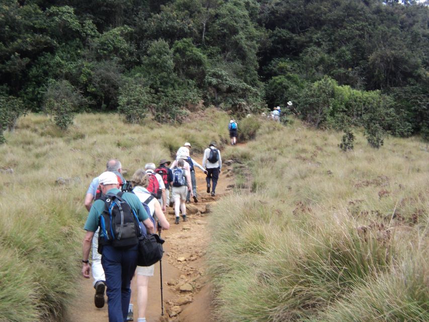 Horton Plains, Worlds End, Bakers Falls & Train Ride - Free Cancellation Policy