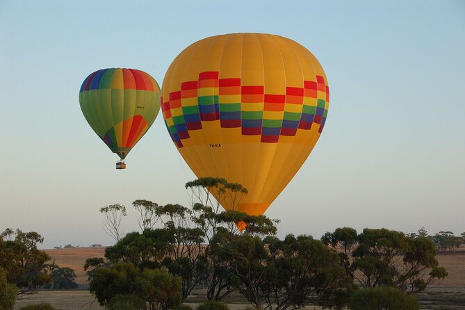 Hot Air Balloon Flight Over the Avon Valley Flight Only - Customer Reviews