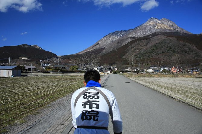 Hot Spring Capital of Yufuin Rickshaw Tour - Customization and Flexibility