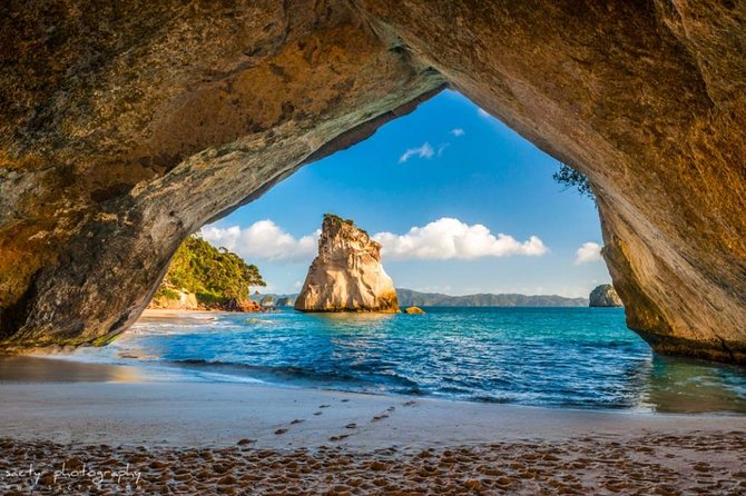 Hot Water Beach & Cathedral Cove Day Tour From Auckland - Pricing Information