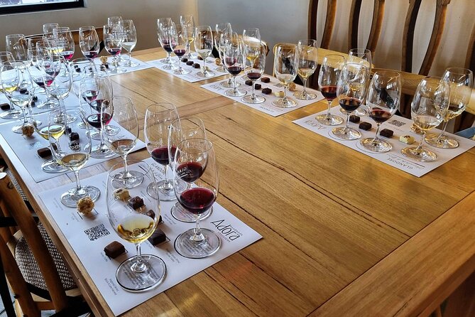 Hunter Valley Small Group Wine, Gin, Cheese & Chocolate Tour From Hunter Valley - Testimonials