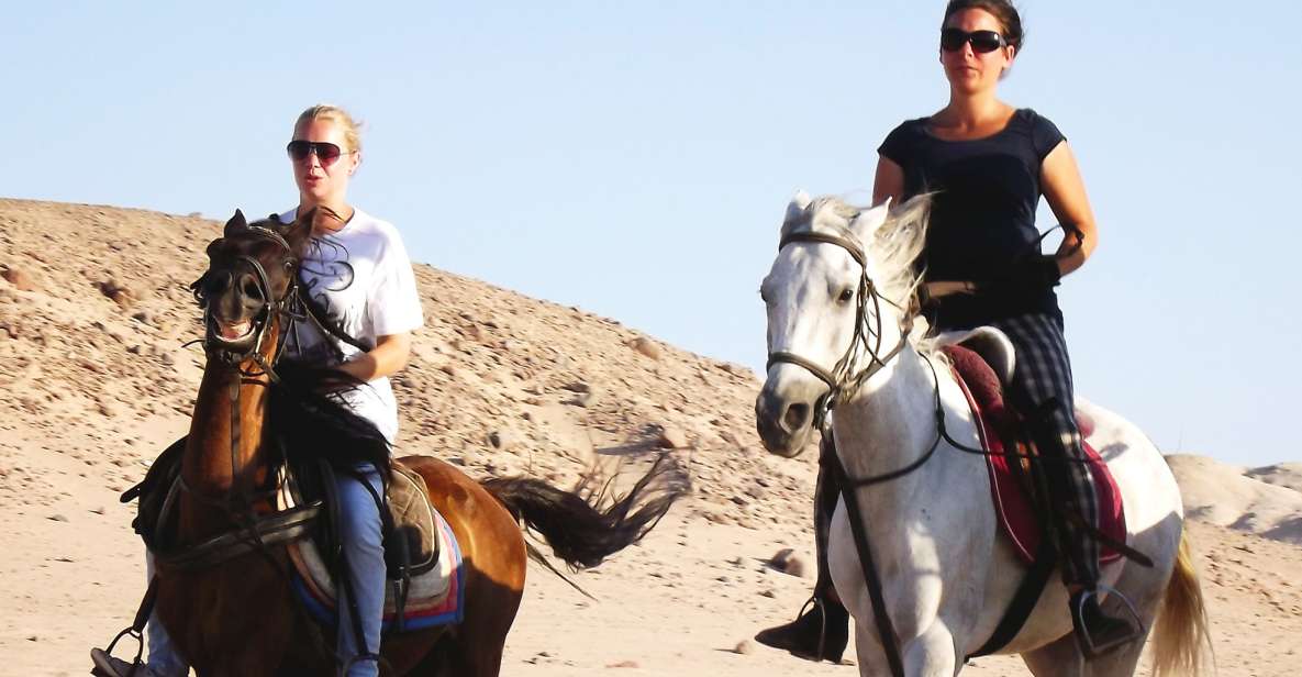 Hurghada: Arabian Desert and Sea Horseback Adventure - Review Summary