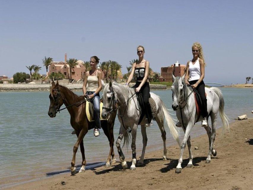 Hurghada: Desert and Sea Horseback Riding Tour With Transfer - Safety Training