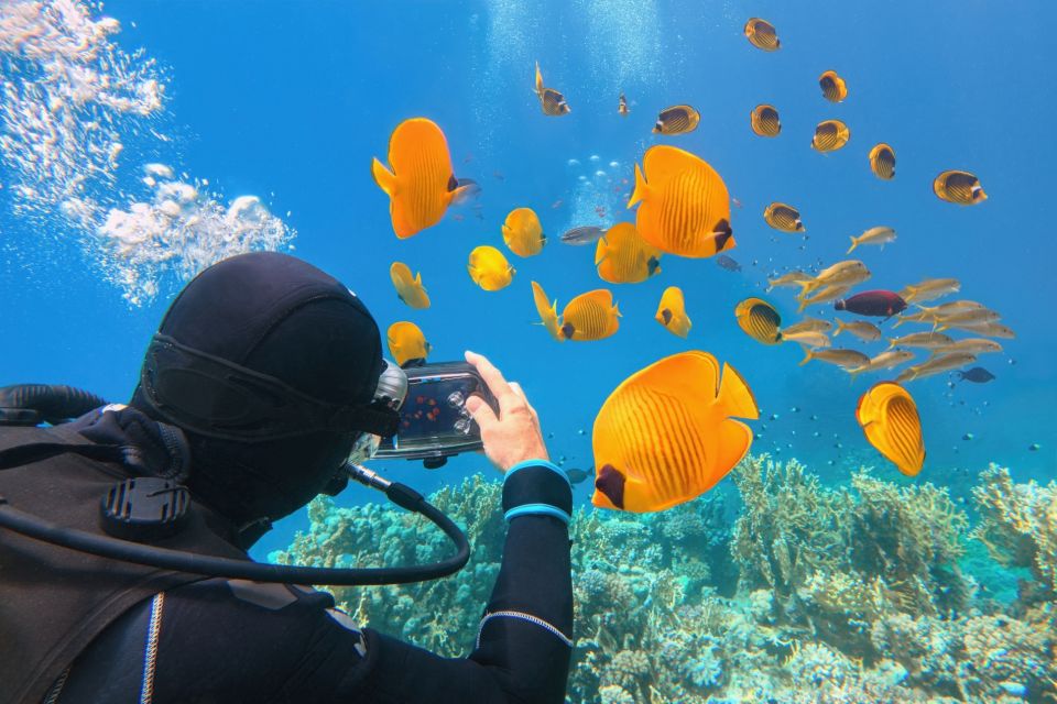 Hurghada: Diving & Snorkeling Cruise Tour W Lunch & Drinks - Instructor Assistance Options