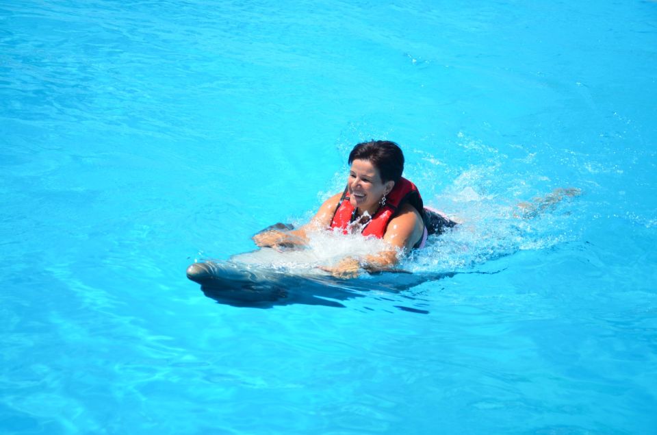 Hurghada: Dolphin World Private Swimming With Transfers - Pickup Instructions