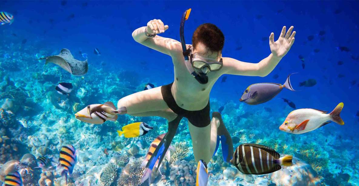 Hurghada: Giftun Island Snorkelling Trip With Lunch - Reservation & Payment Options