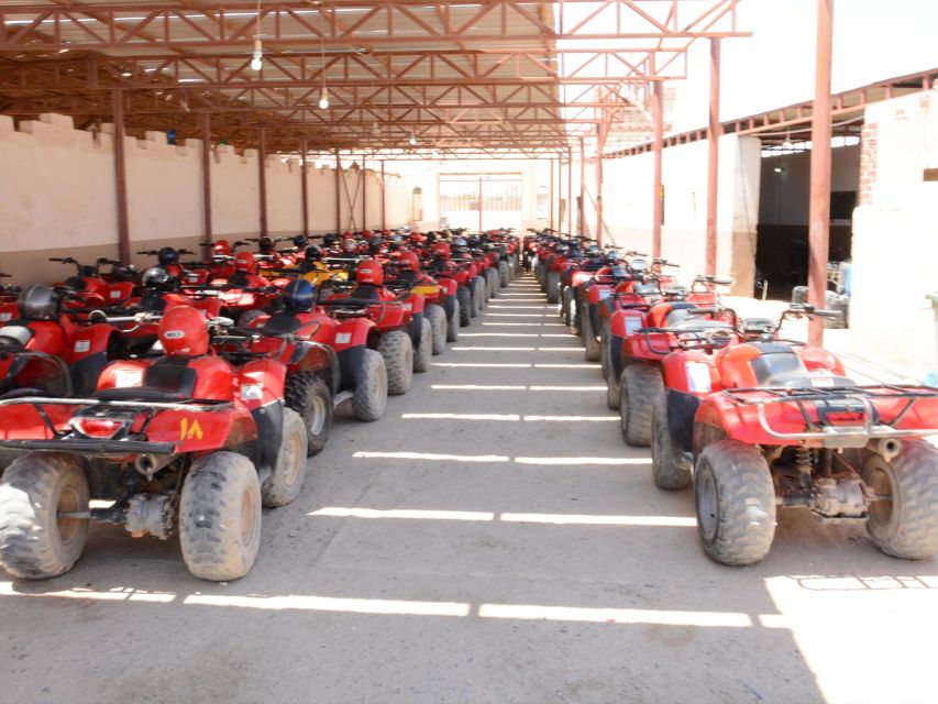 Hurghada: Morning Quad Bike & ATV Adventure Along a Red Sea - Activity Features