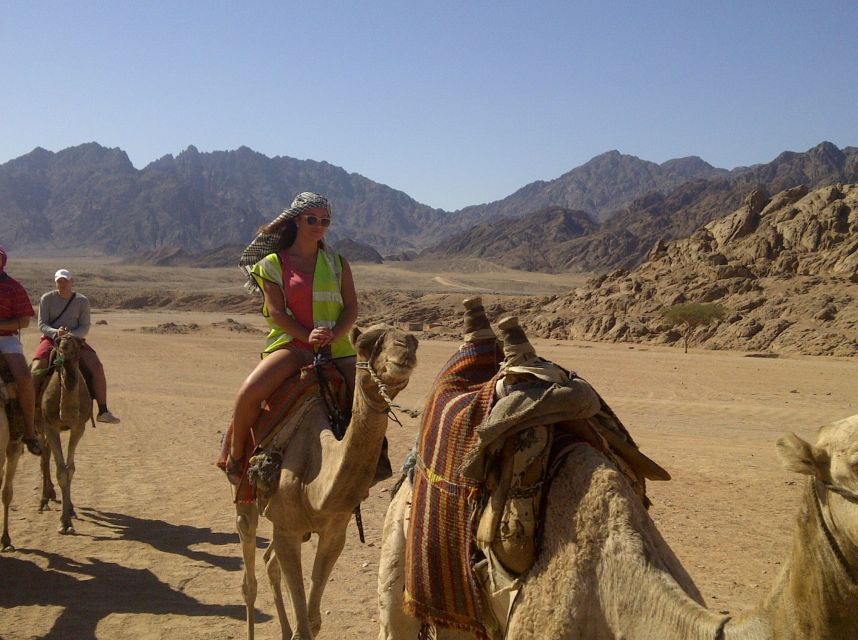 Hurghada: Quad Desert Safari With Camel Ride and Transfer - Customer Reviews Summary