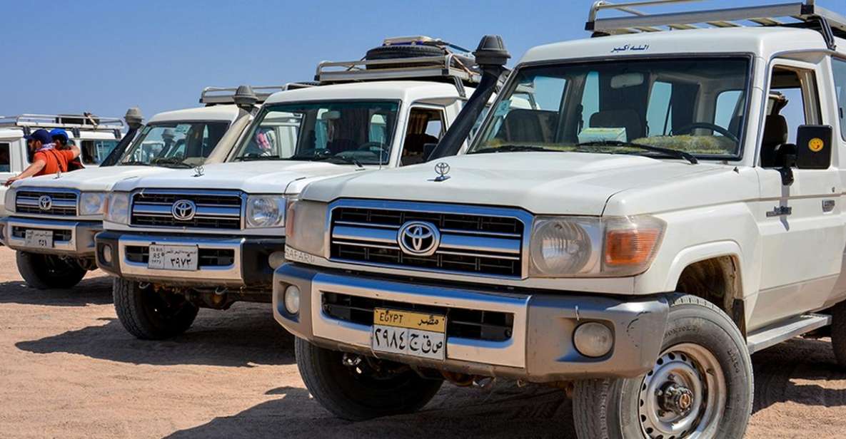 Hurghada: Safari Jeep, Buggy, Camel, Quad, Bedouin Dinner - Review Ratings