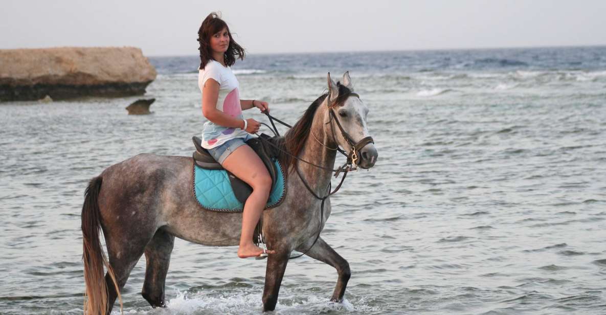 Hurghada: Sea & Desert Horse Tour, Stargazing, Dinner & Show - Tour Highlights