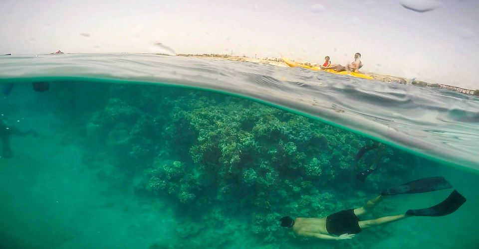 Hurghada: Sharm El Naga Tour With Snorkeling & Lunch - Positive Customer Feedback