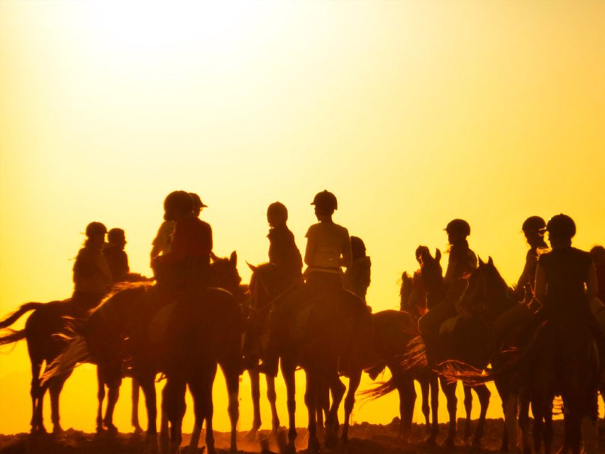 Hurghada: Sunset Sea, Desert Horse W Opt, Dinner, Stargazing - Tailoring Your Experience