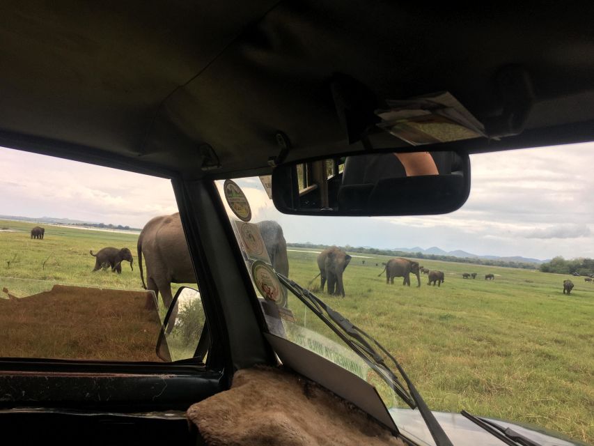 Hurulu National Park Safari Minneriya - Wildlife and Conservation