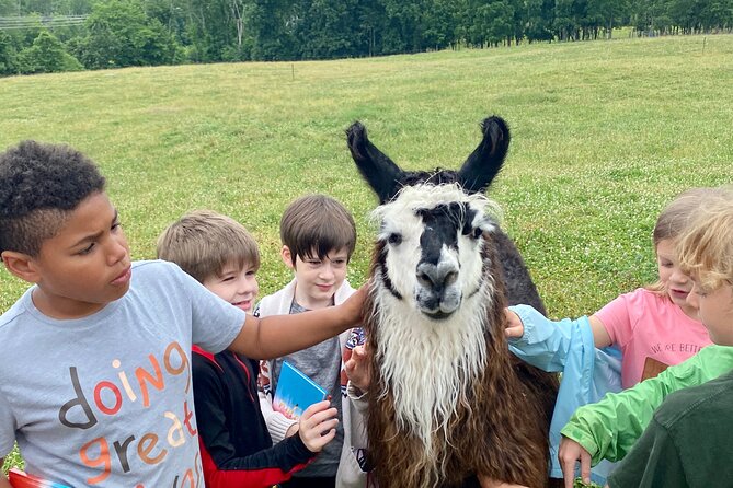 Hyde Park NY, Llama/ Alpaca Hike and Farm Tour  - The Catskills - Common questions