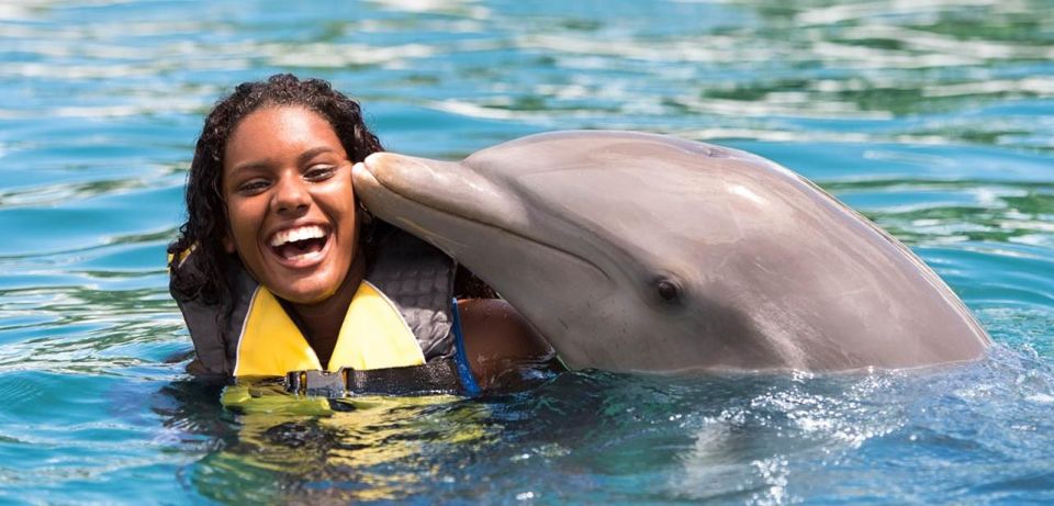 I Want a VIP Swim With Dolphins at Ocean World Puerto Plata - Entertainment and Activities