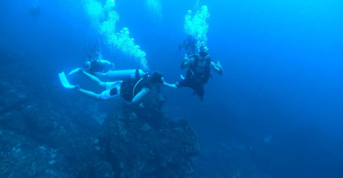 Immerse Yourself in the Depths of El Morro - Unveil Hidden Coral Treasures