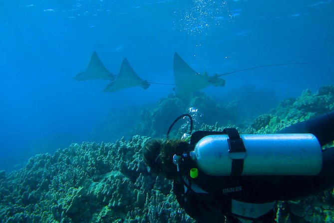 Intro to Scuba Diving in Kaanapali - Underwater Worlds in Maui