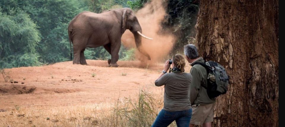 Isimangaliso Wetlands Park Full Day Tour From Durban - Experience Highlights