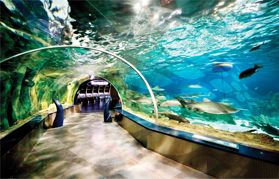 Istanbul Aquarium and Aqua Florya Shopping Mall Tour - Feedback and Ratings