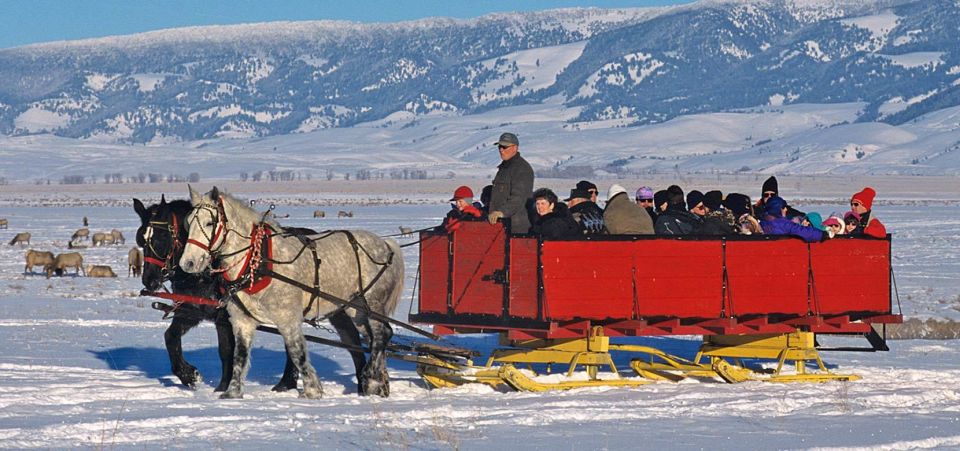 Jackson: Grand Teton and National Elk Refuge Winter Day Trip - Customer Reviews
