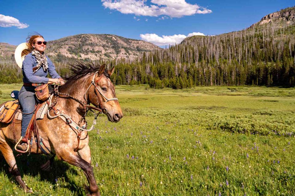 Jackson Hole: Dinner Cookout & Bridger-Teton Horseback Ride - Inclusions