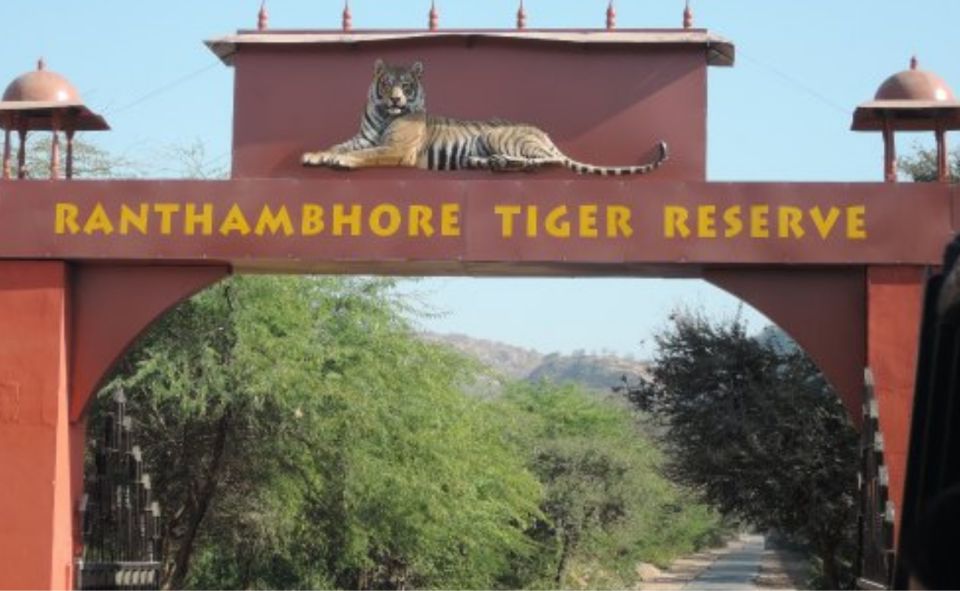 Jaipur: Ranthambore Private Guided Tour With Cab - Wildlife Safari Experience