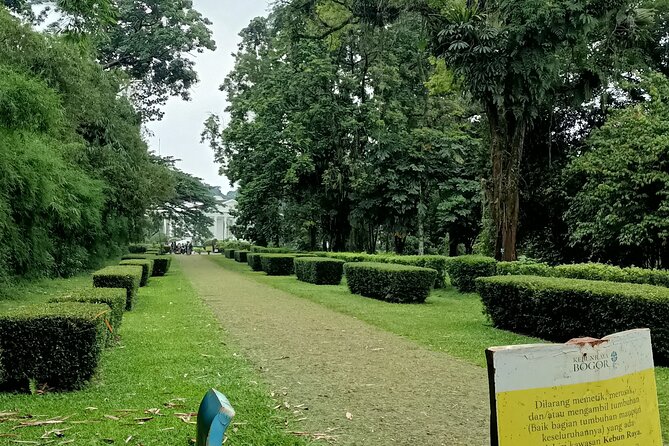 Jakarta Bogor Botanical Garden, Waterfall and Rice Terrace, Lunch - Cancellation Policy