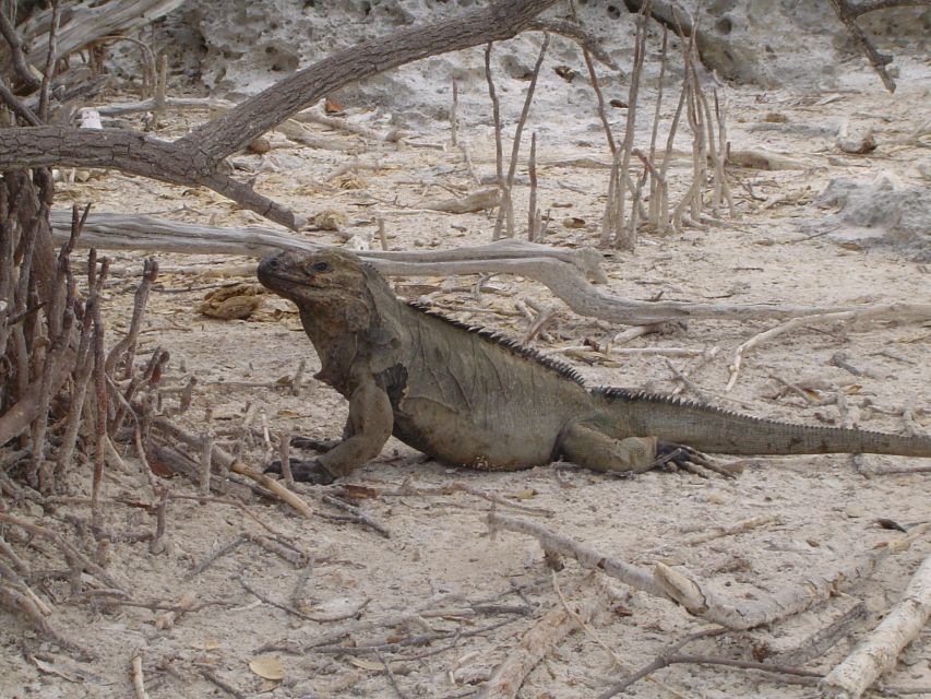 Jaragua National Park: Explore Laguna De Oviedo - Additional Options for the Tour