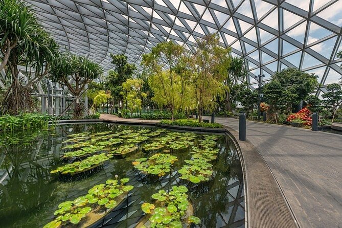 Jewel Changi Airport: Canopy Park Admission Ticket - Detailed Review Example