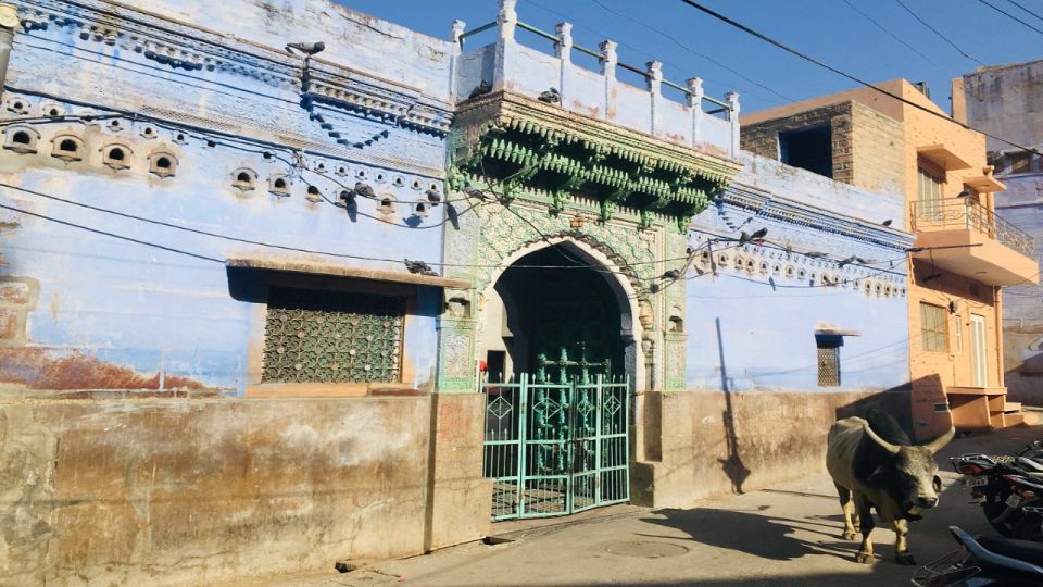 Jodhpur Experience With Bantu - Toorji Ka Jhalra